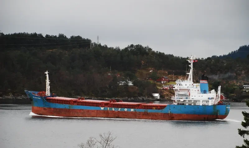 MAYA S General Cargo IMO 7926095 photo 9