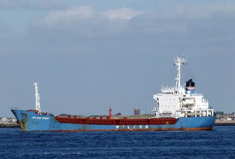 MAYA S General Cargo IMO 7926095 photo 10
