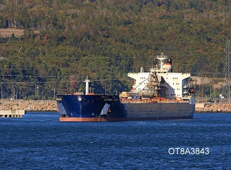 ALGOMA VALUE Bulk Carrier IMO 7926148 photo 3