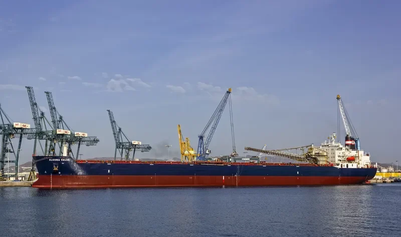 ALGOMA VALUE Bulk Carrier IMO 7926148 photo 9
