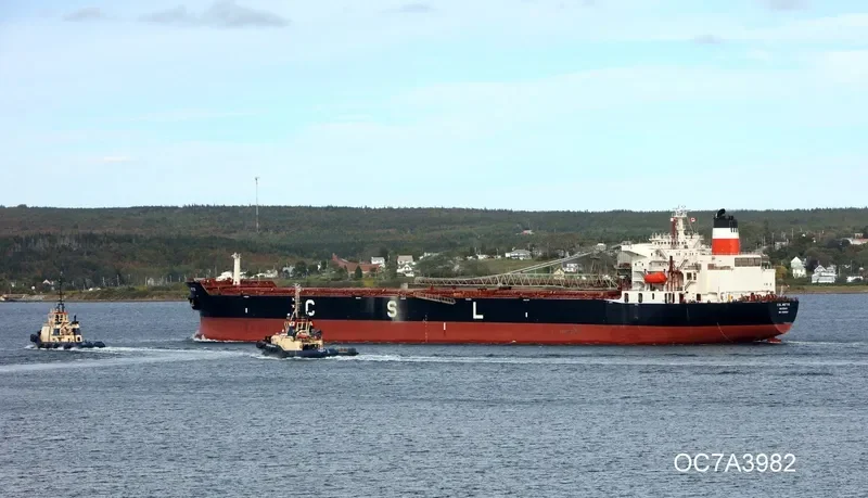 CSL METIS Bulk Carrier IMO 7926162