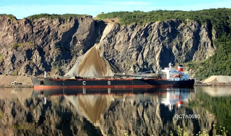 CSL METIS Bulk Carrier IMO 7926162 photo 3