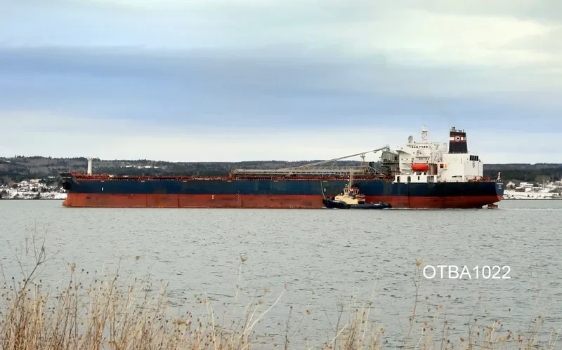 HONOURABLE HENRY JACKMAN Bulk Carrier IMO 7926174 photo 4