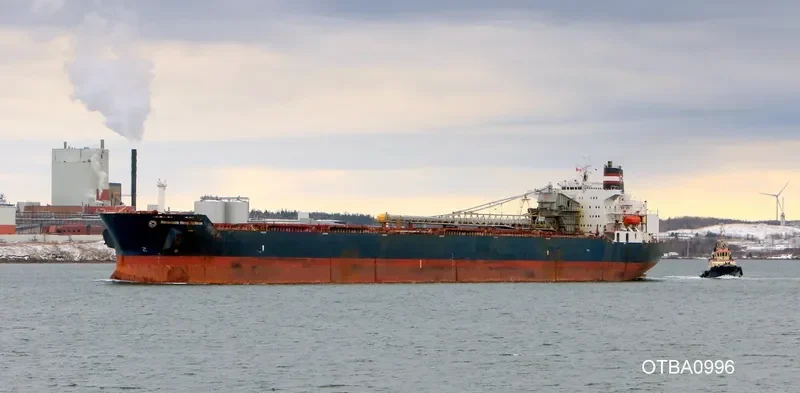 HONOURABLE HENRY JACKMAN Bulk Carrier IMO 7926174 photo 5