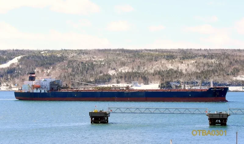 HONOURABLE HENRY JACKMAN Bulk Carrier IMO 7926174 photo 6