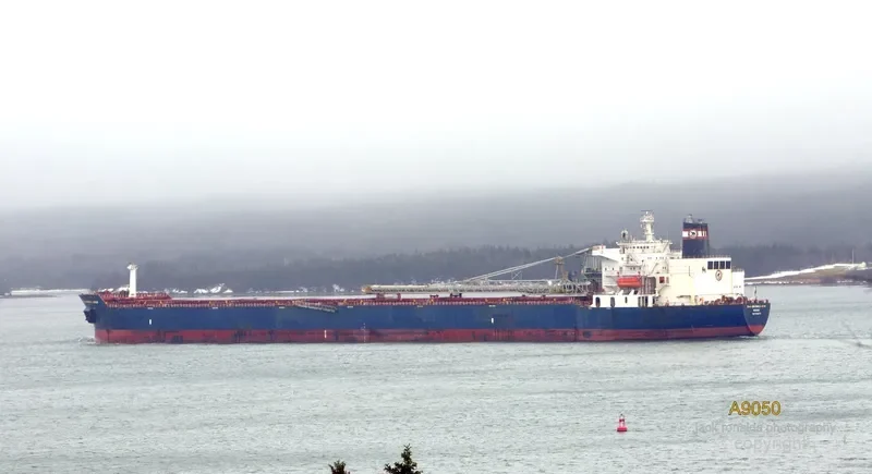 HONOURABLE HENRY JACKMAN Bulk Carrier IMO 7926174 photo 7