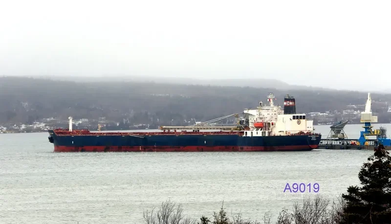 HONOURABLE HENRY JACKMAN Bulk Carrier IMO 7926174 photo 8