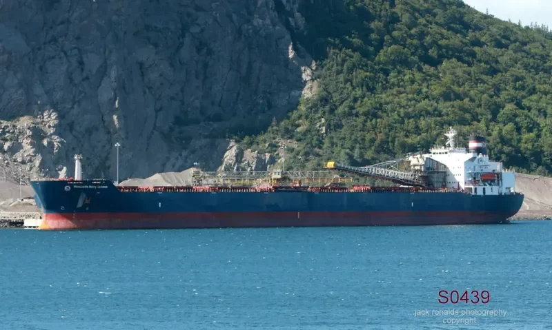 HONOURABLE HENRY JACKMAN Bulk Carrier IMO 7926174 photo 9