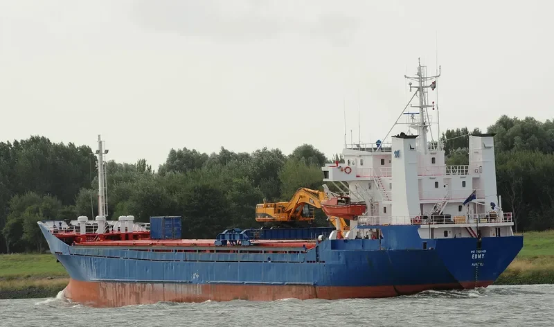 ENNY Bulk Carrier IMO 7926409 photo 5