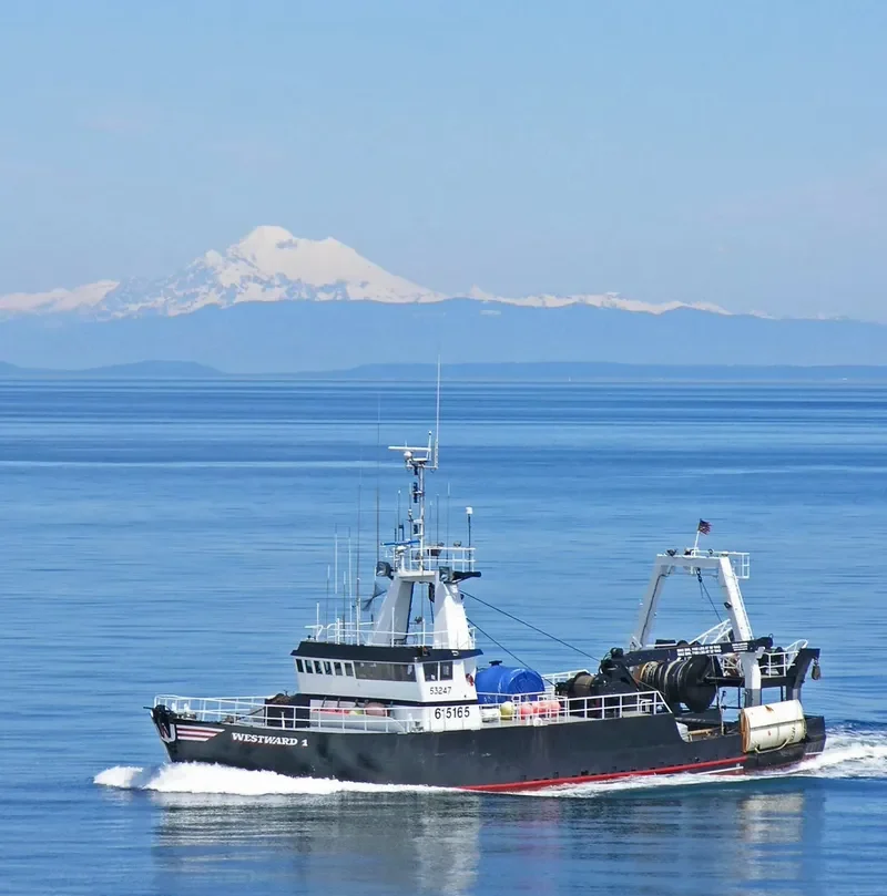 WESTWARD I General Cargo IMO 7926473 photo 7
