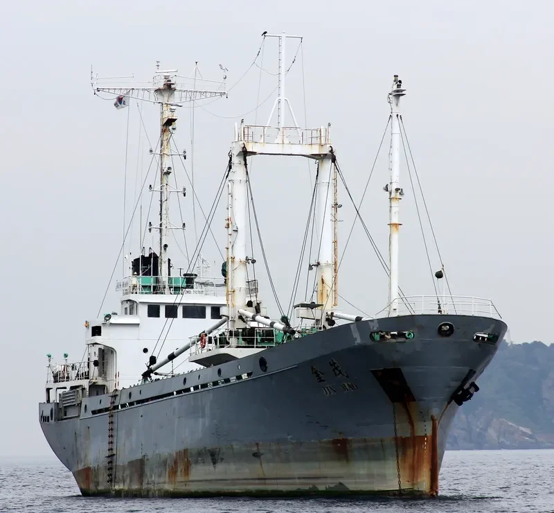 DO WON General Cargo IMO 7927037 photo 5