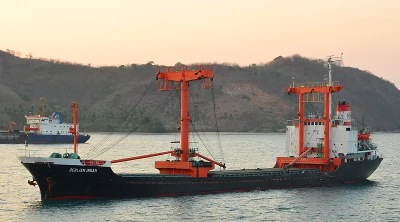 BERLIAN INDAH General Cargo IMO 7927166 photo 2