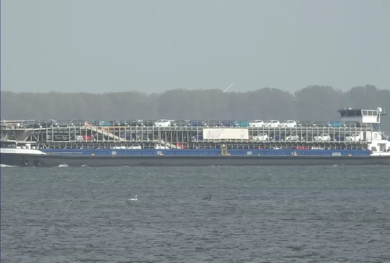 INGONA General Cargo IMO 7927738