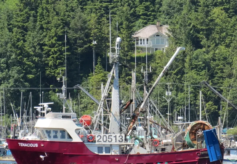 TENACIOUS General Cargo IMO 7927776 photo 2