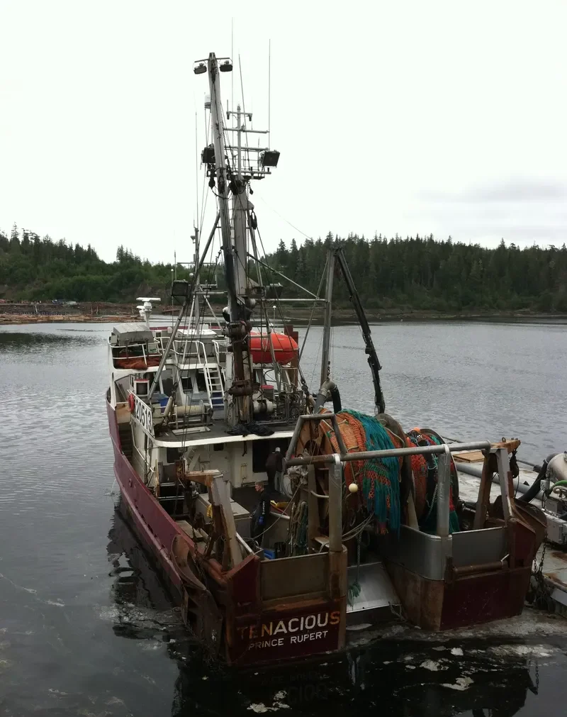 TENACIOUS General Cargo IMO 7927776 photo 3