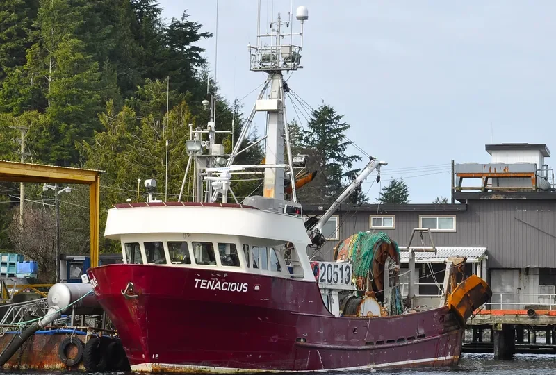 TENACIOUS General Cargo IMO 7927776 photo 4