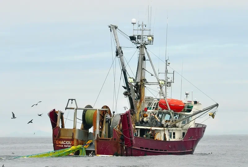 TENACIOUS General Cargo IMO 7927776 photo 5