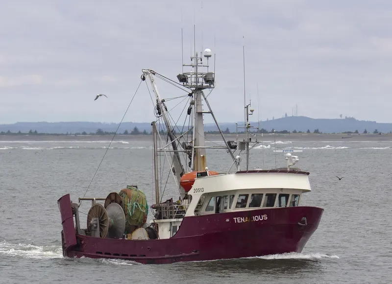 TENACIOUS General Cargo IMO 7927776 photo 7