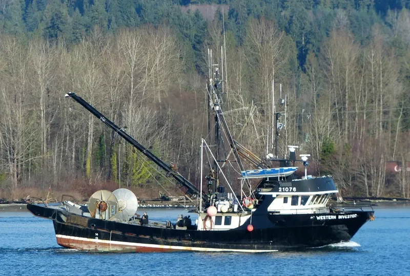 WESTERN INVESTOR General Cargo IMO 7927788