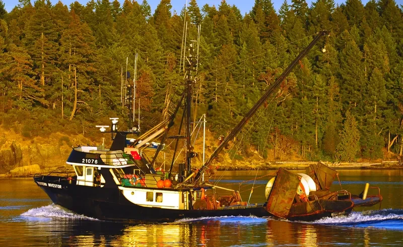 WESTERN INVESTOR General Cargo IMO 7927788 photo 2