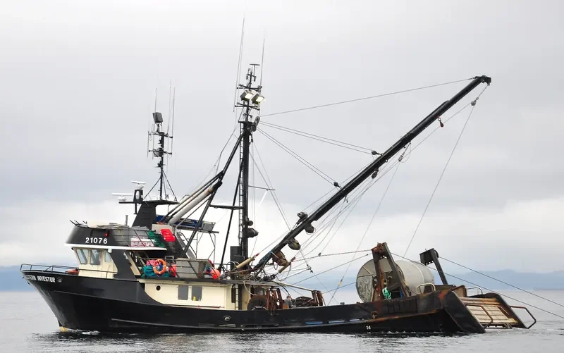 WESTERN INVESTOR General Cargo IMO 7927788 photo 3