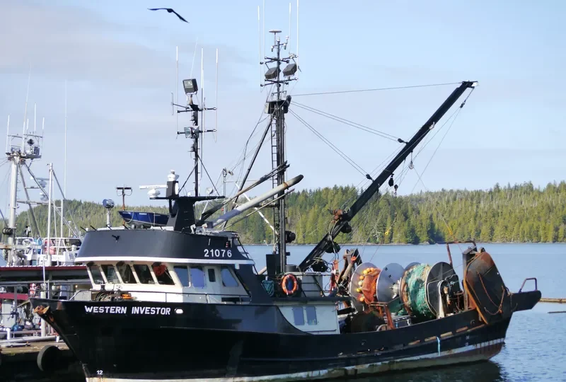 WESTERN INVESTOR General Cargo IMO 7927788 photo 4