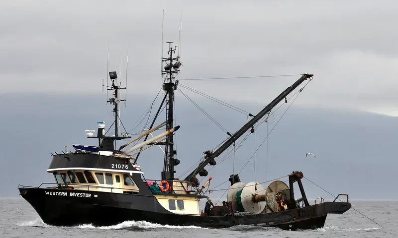 WESTERN INVESTOR General Cargo IMO 7927788 photo 5