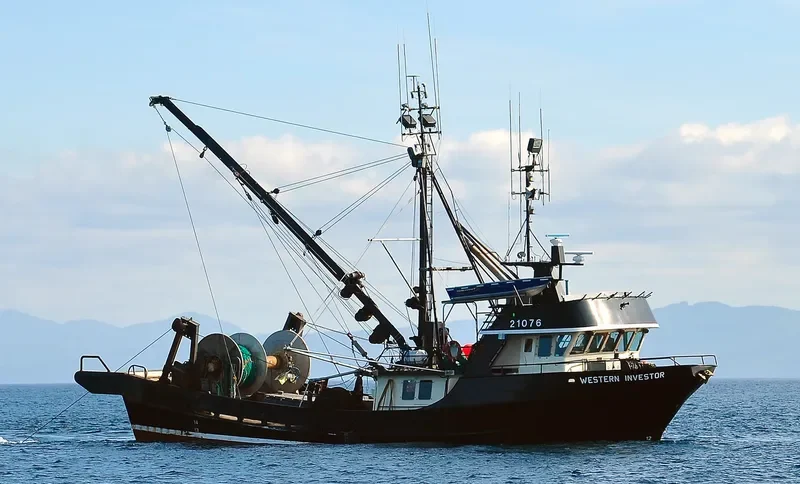 WESTERN INVESTOR General Cargo IMO 7927788 photo 6
