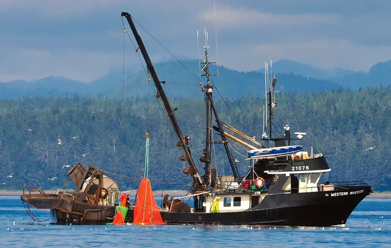 WESTERN INVESTOR General Cargo IMO 7927788 photo 7
