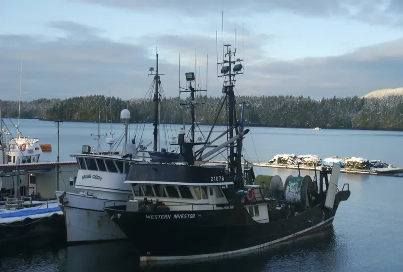 WESTERN INVESTOR General Cargo IMO 7927788 photo 8