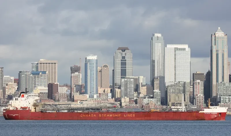 ATLANTIC SUPERIOR Bulk Carrier IMO 7927805