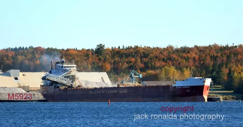 ATLANTIC SUPERIOR Bulk Carrier IMO 7927805 photo 3