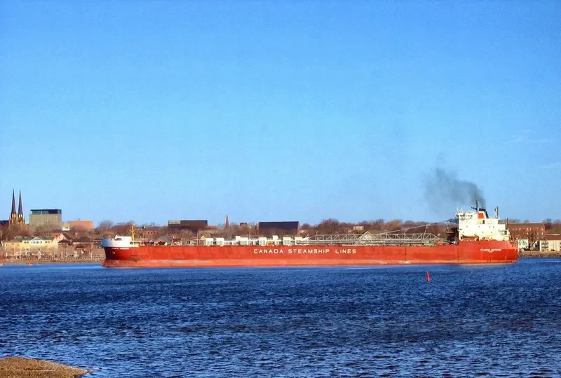 ATLANTIC SUPERIOR Bulk Carrier IMO 7927805 photo 8
