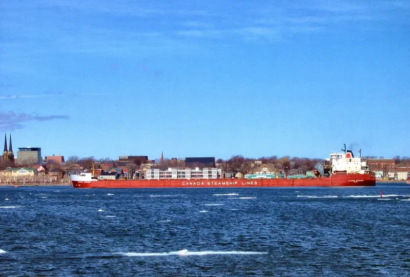 ATLANTIC SUPERIOR Bulk Carrier IMO 7927805 photo 9