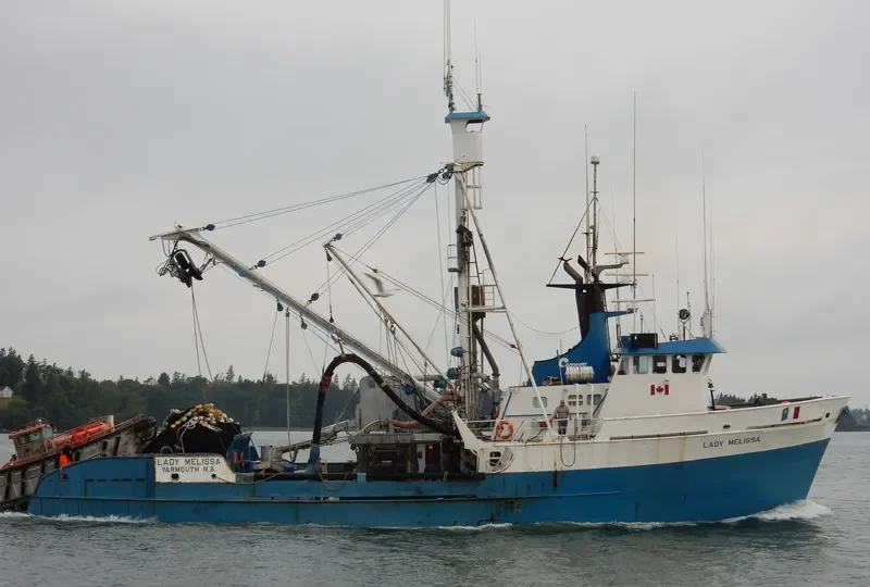 LADY MELISSA General Cargo IMO 7927829 photo 5