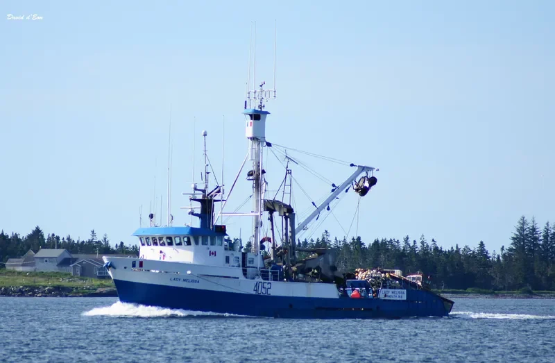 LADY MELISSA General Cargo IMO 7927829 photo 9