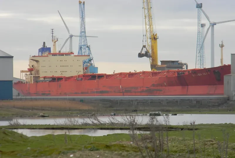 GOLDEN GLOW Bulk Carrier IMO 7928122