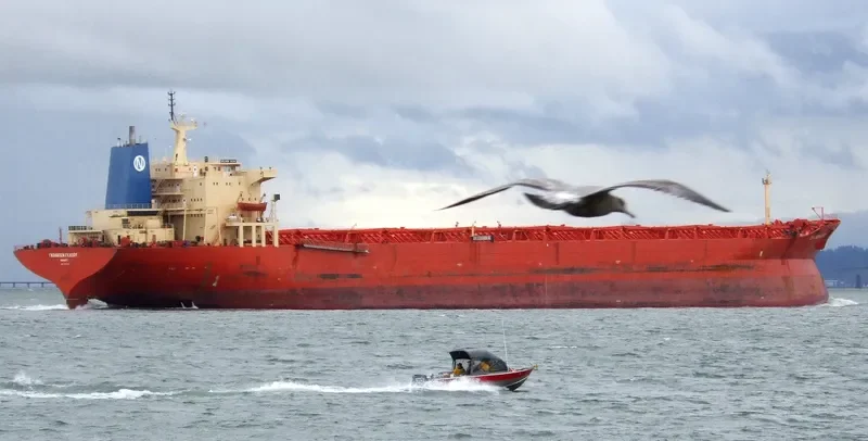 GOLDEN GLOW Bulk Carrier IMO 7928122 photo 6