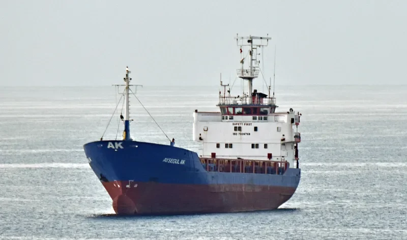 PAROS General Cargo IMO 7928768 photo 2