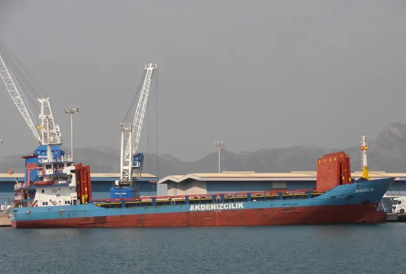PAROS General Cargo IMO 7928768 photo 8