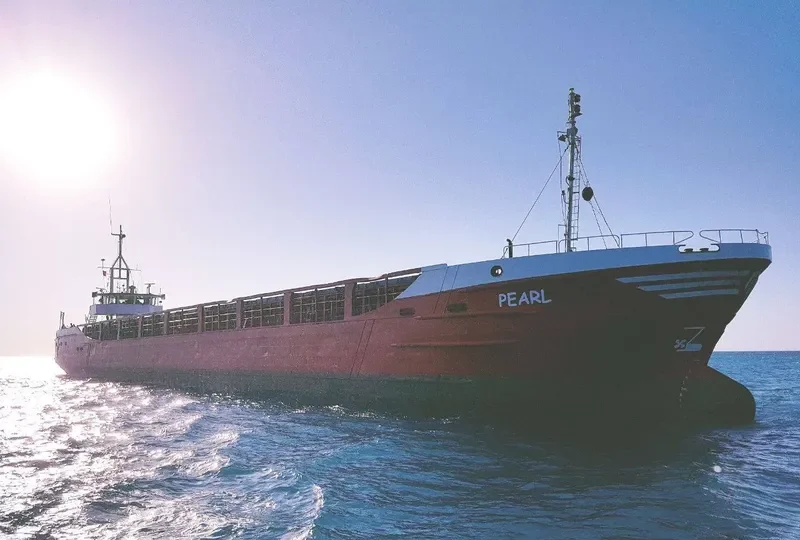 PEARL General Cargo IMO 7928794