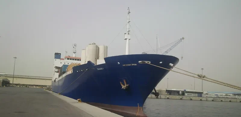 SHAKER 1 Ro-Ro IMO 7929102 photo 3