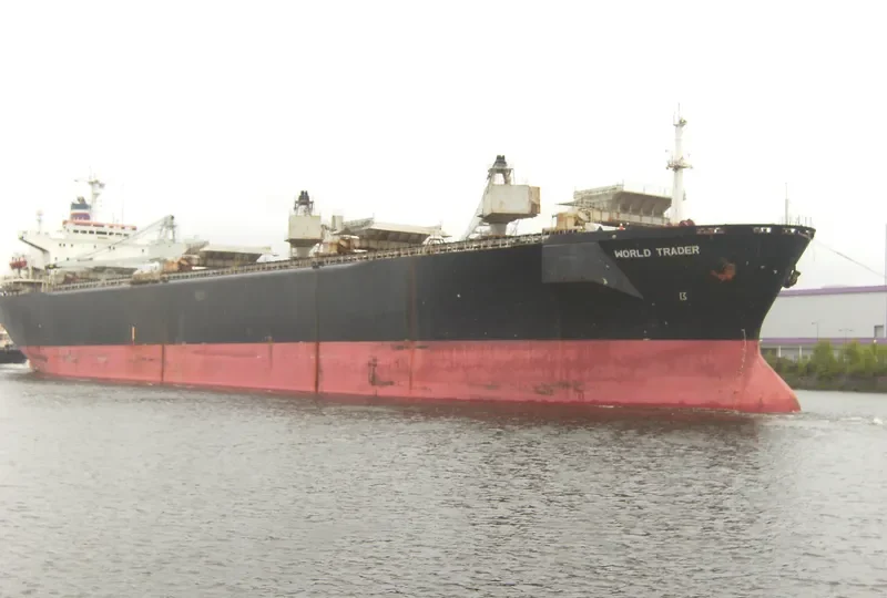 WORLD TRADER Bulk Carrier IMO 7929293 photo 2