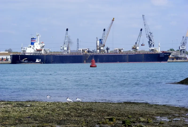 WORLD TRADER Bulk Carrier IMO 7929293 photo 3