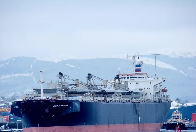 WORLD TRADER Bulk Carrier IMO 7929293 photo 4