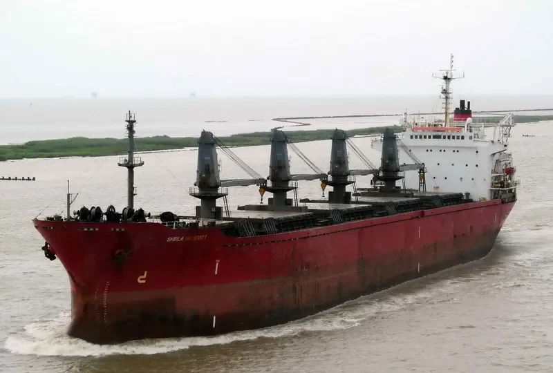 MISSISSIPPI ENTERPRISE Bulk Carrier IMO 7929308 photo 6