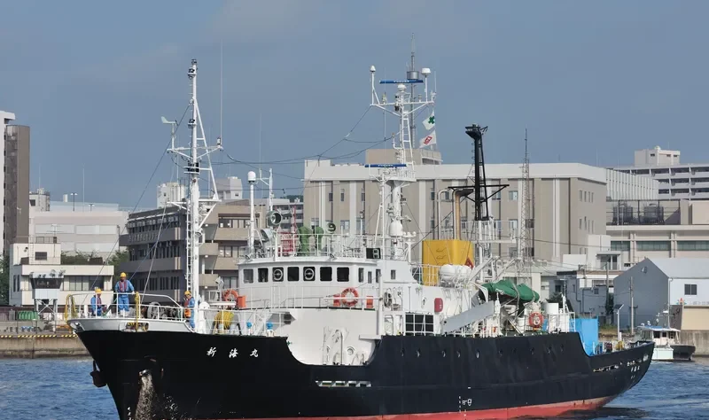 SHINKAI MARU Offshore Vessel IMO 7929700 photo 4