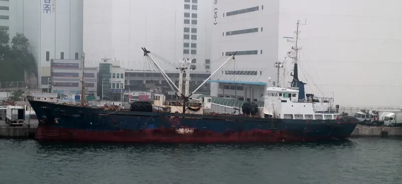 BUKHTA NATALII General Cargo IMO 7929786 photo 5