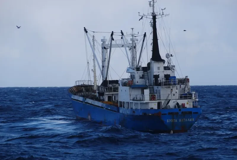 BUKHTA NATALII General Cargo IMO 7929786 photo 9