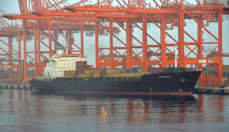 MSC NEFELI Container Ship IMO 7930668 photo 2